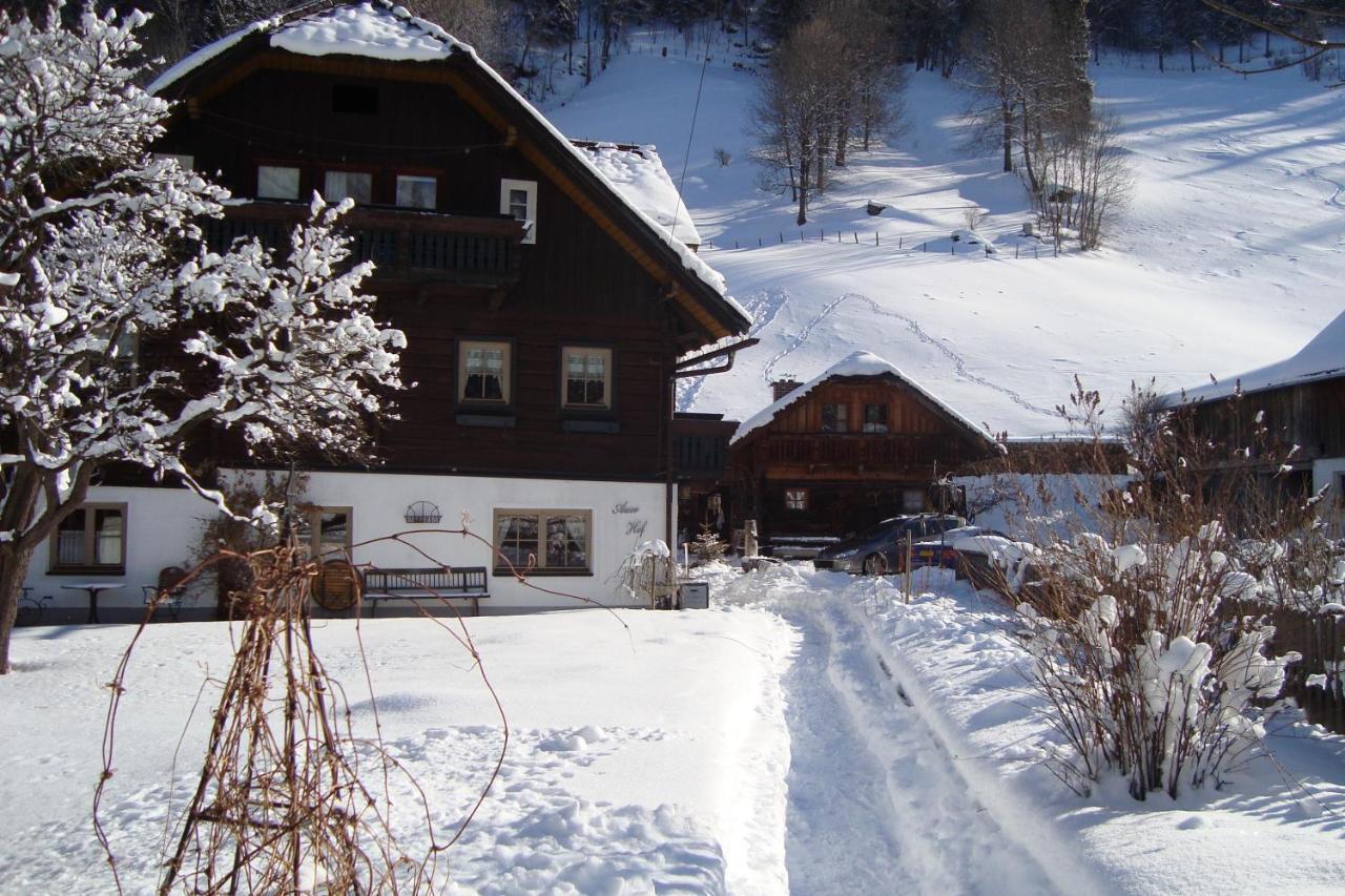 Auerhof Villa Schladming Exterior photo